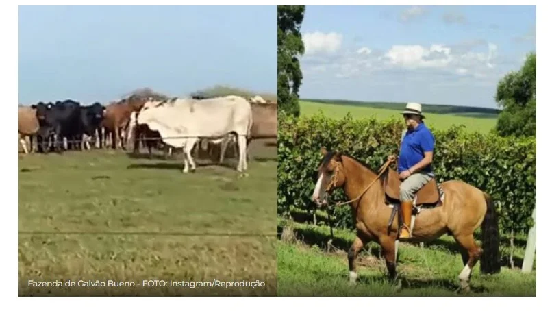 Aos 76 anos, apresentador comanda fazenda de mais de 100 hectares usada como refúgio no RS