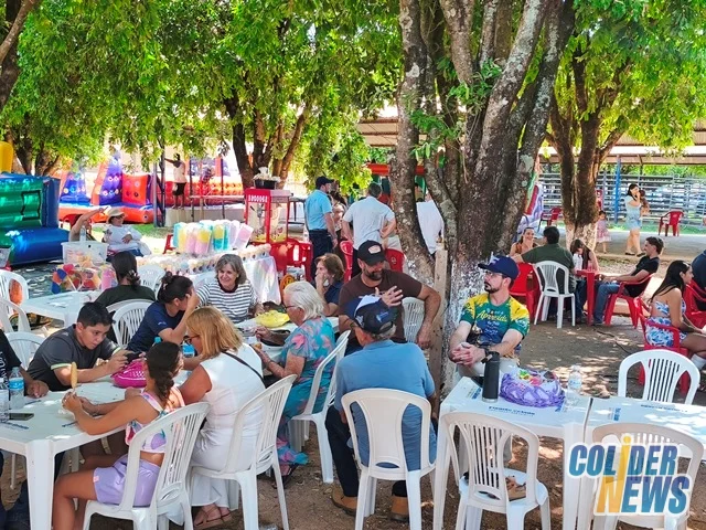 18º Leilão do HcanMT em Colider — foto 65