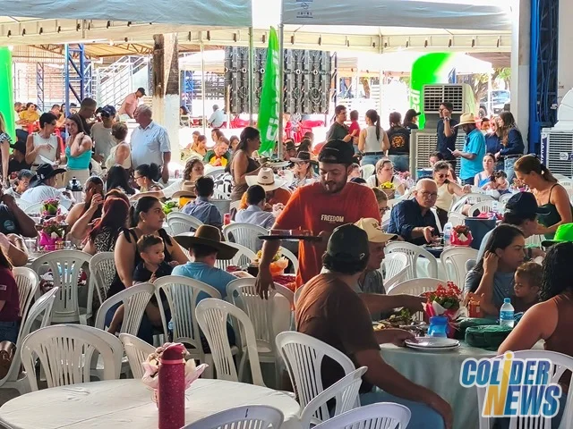 18º Leilão do HcanMT em Colider — foto 51