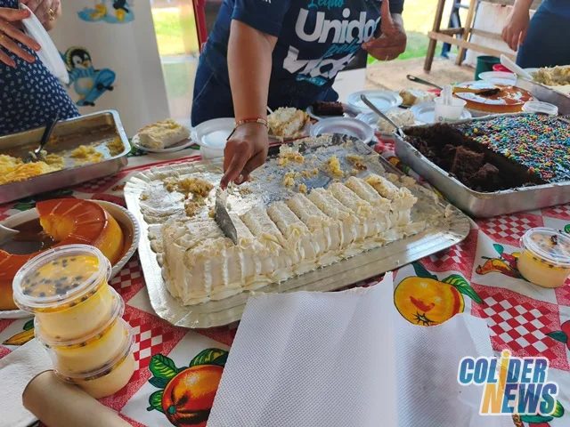 18º Leilão do HcanMT em Colider — foto 69