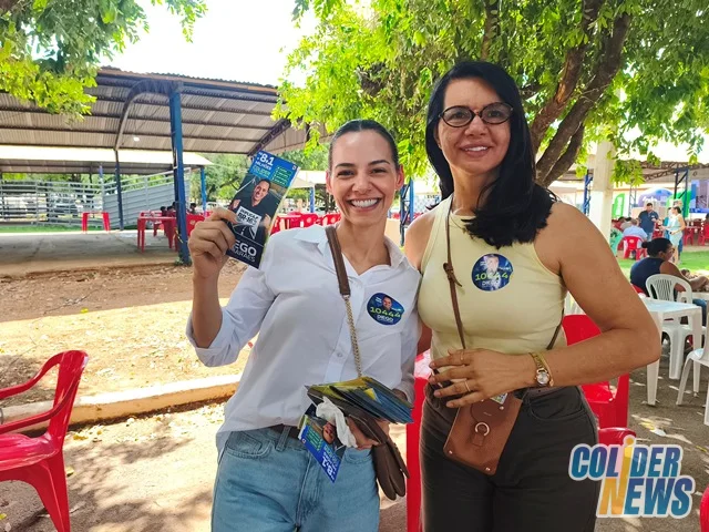 18º Leilão do HcanMT em Colider — foto 120