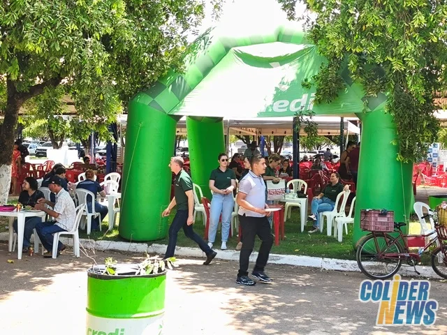 18º Leilão do HcanMT em Colider — foto 35