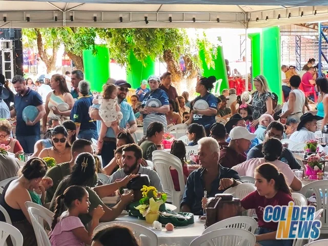 18º Leilão do HcanMT em Colider — foto 52
