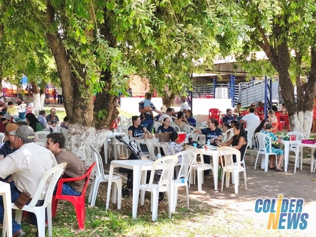 18º Leilão do HcanMT em Colider — foto 34