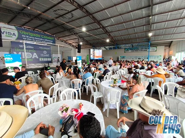 18º Leilão do HcanMT em Colider — foto 99