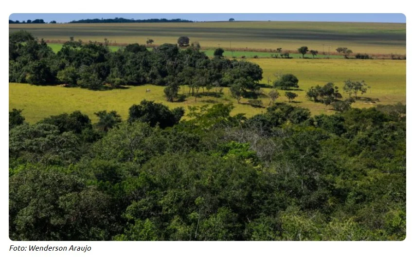 Pecuaristas começam a receber até R$ 100 mil por ano por área preservada dentro da fazenda