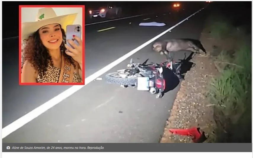 Designer de unhas morre após moto bater em anta em São José do Rio Claro