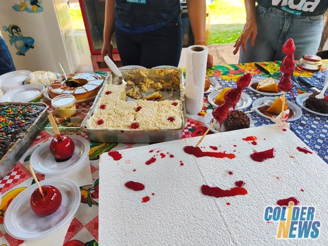 18º Leilão do HcanMT em Colider — foto 71