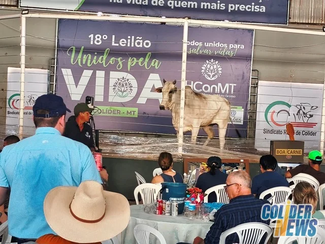 18º Leilão do HcanMT em Colider — foto 126