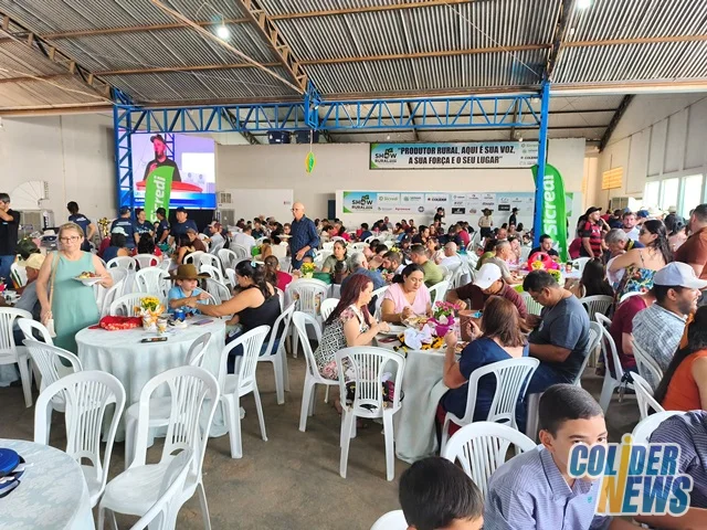 18º Leilão do HcanMT em Colider — foto 43