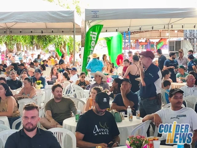 18º Leilão do HcanMT em Colider — foto 140