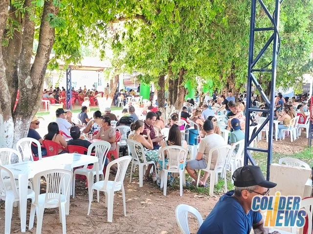18º Leilão do HcanMT em Colider — foto 66