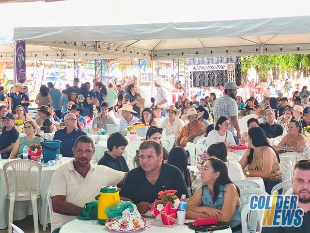 18º Leilão do HcanMT em Colider — foto 139