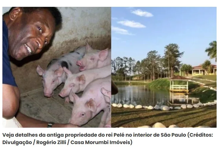 Longe dos holofotes, Pelé tinha uma fazenda de 700 hectares, cercada pela Mata Atlântica.