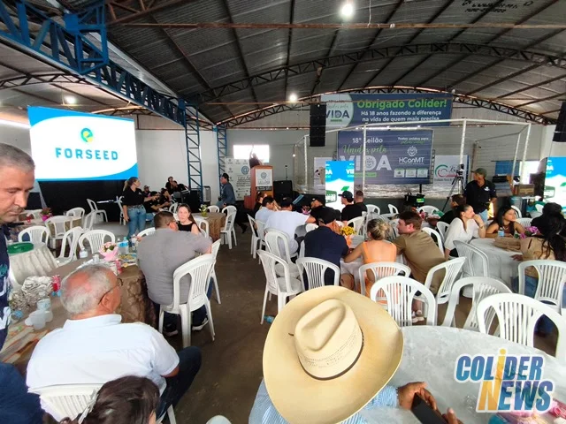 18º Leilão do HcanMT em Colider — foto 100