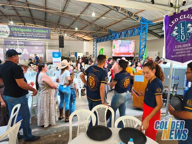 18º Leilão do HcanMT em Colider — foto 14