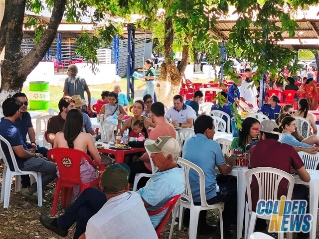 18º Leilão do HcanMT em Colider — foto 73