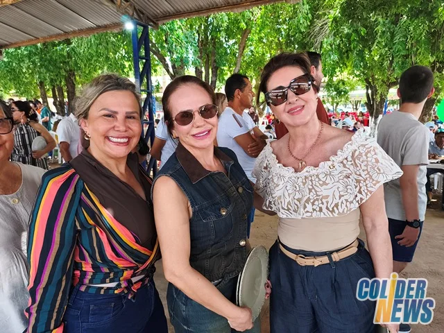 18º Leilão do HcanMT em Colider — foto 30
