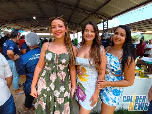 18º Leilão do HcanMT em Colider — foto 24