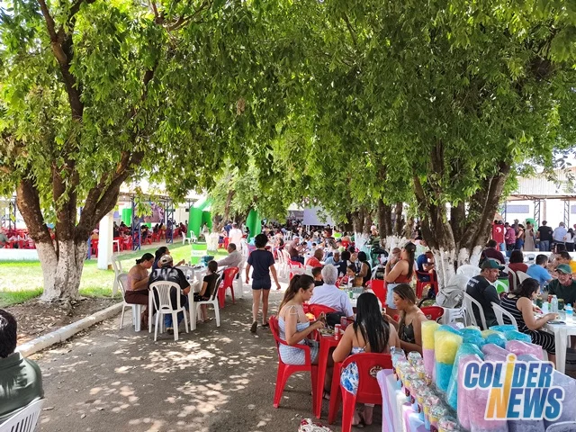 18º Leilão do HcanMT em Colider — foto 56