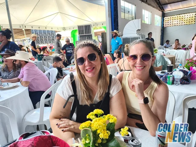 18º Leilão do HcanMT em Colider — foto 42