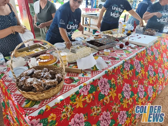 18º Leilão do HcanMT em Colider — foto 68