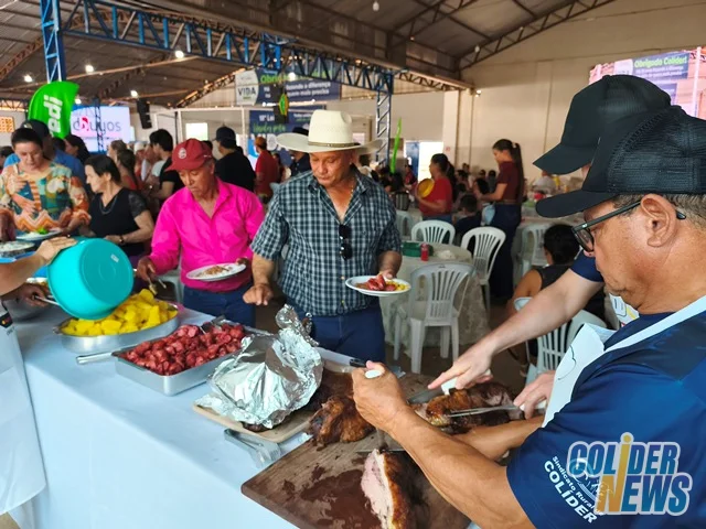 18º Leilão do HcanMT em Colider — foto 5