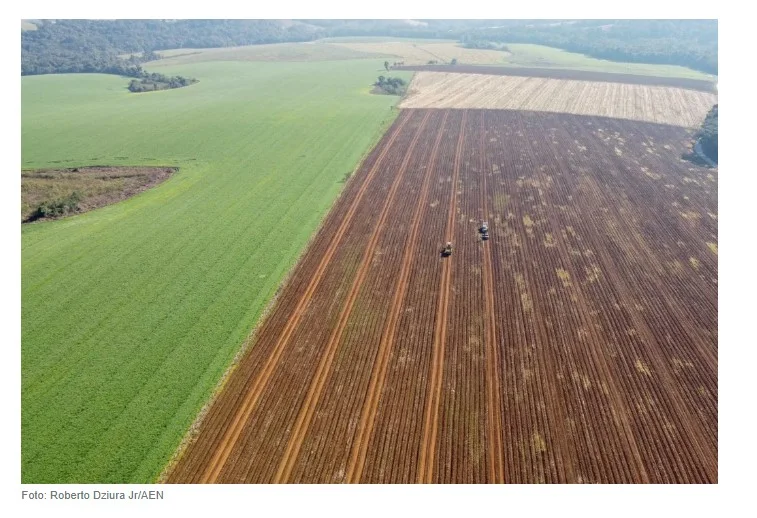 Crédito para compra de terras dispara e atrai jovens agricultores