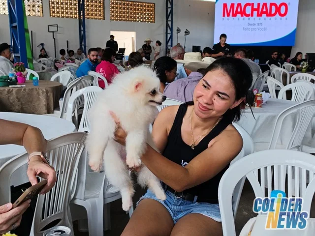 18º Leilão do HcanMT em Colider — foto 41