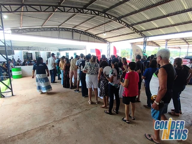 18º Leilão do HcanMT em Colider — foto 22