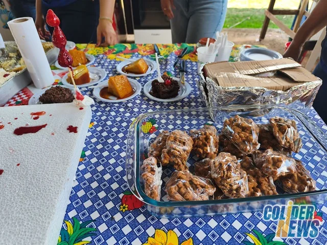 18º Leilão do HcanMT em Colider — foto 72