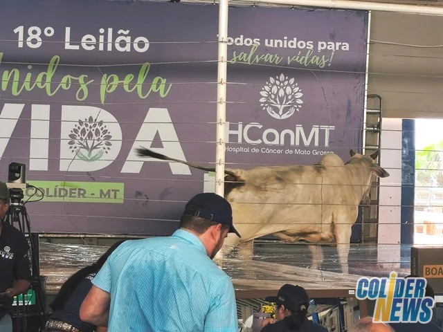 18º Leilão do HcanMT em Colider — foto 127