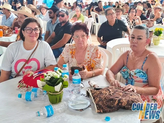 18º Leilão do HcanMT em Colider — foto 147