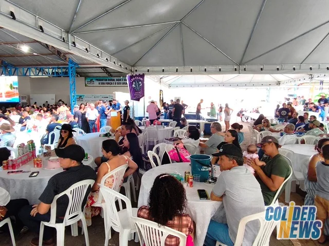 18º Leilão do HcanMT em Colider — foto 103