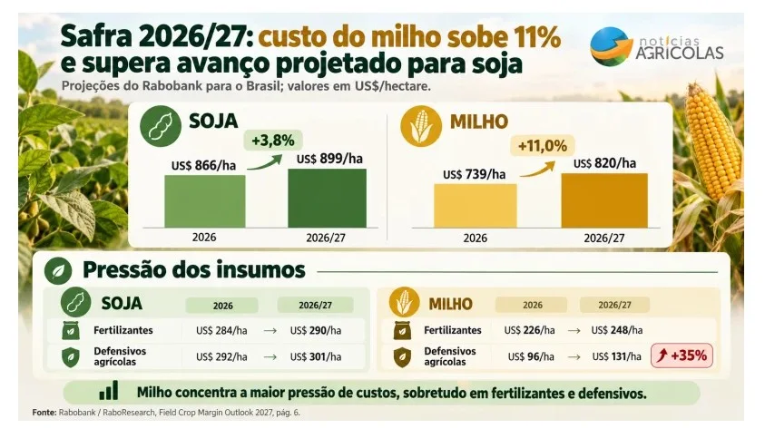 Custos do milho devem subir 11% no Brasil em 2026/27 e margens operacionais maiores não eliminam pressão financeira