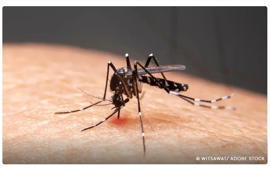 Mudanças climáticas já causam aumento de doenças infecciosas no país