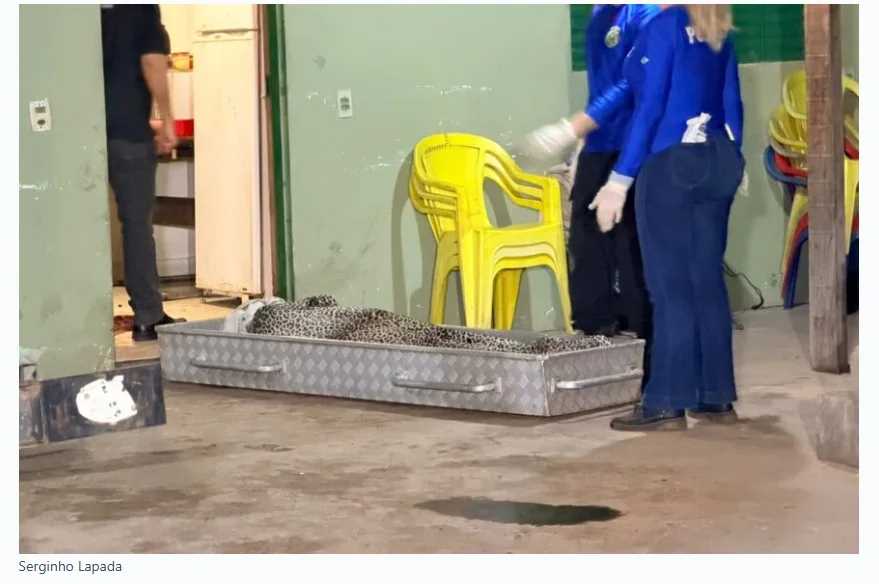 Pai encontra filho assassinado dentro de casa com sinais de extrema violência em MT