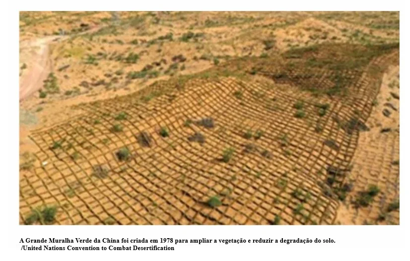 China espalha tabuleiros de palha no deserto para salvar ferrovias e travar avanço da areia em megaprojeto ambiental criado em 1978