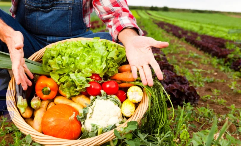 Escala 5x2 desafia competitividade do agro e pode encarecer produção de alimentos