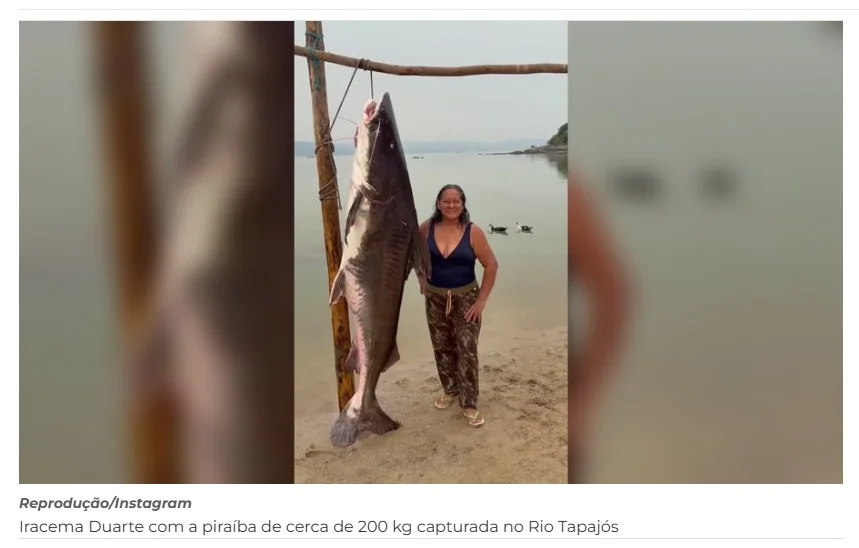 "Só o luxo", diz idosa após capturar piraíba de 200 kg no Tapajós