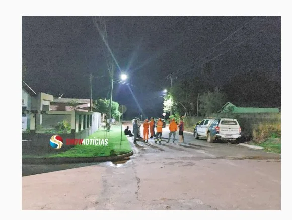 Ataque de abelhas atinge 9 pessoas em Novo Horizonte do Norte; bebê de 4 meses e idosa de 86 anos estão entre as vítimas